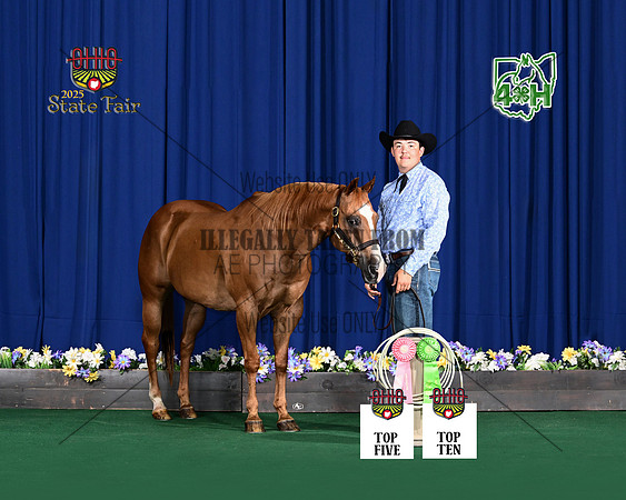 banderson_1458-8x10