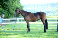AJB_0426