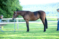 AJB_0427