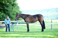 AJB_0429