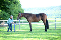 AJB_0428