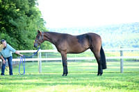 AJB_0431