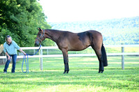 AJB_0430