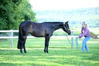 AJB_0432