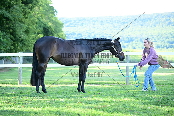 AJB_0432