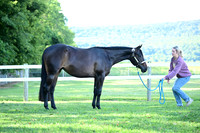 AJB_0433