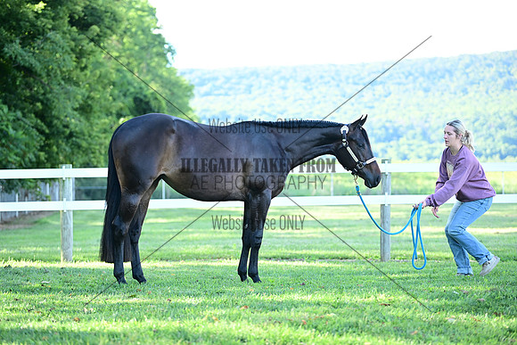 AJB_0433