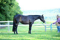AJB_0434