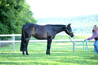 AJB_0436