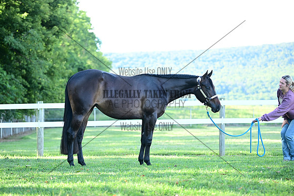 AJB_0436