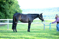AJB_0435