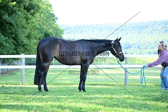 AJB_0435