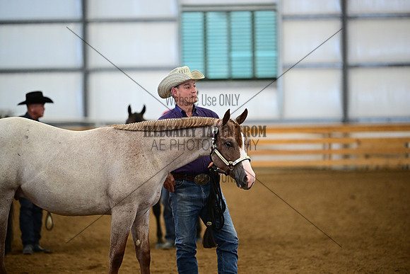 AJB_0202