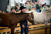 AJB_0206