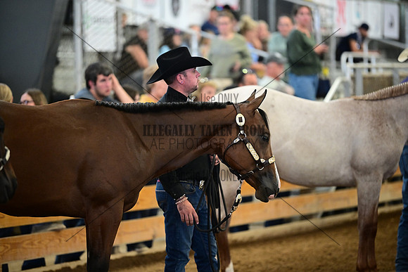 AJB_0206