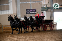 Fedor Percherons