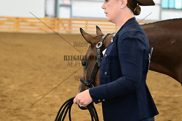 AJB_0267
