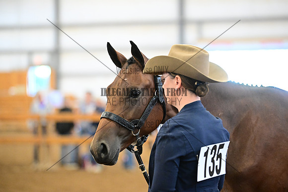 AJB_0340