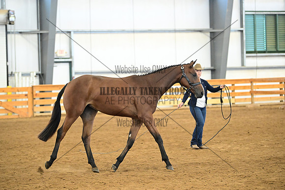 AJB_0359