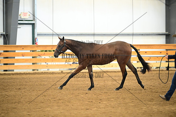 AJB_0362