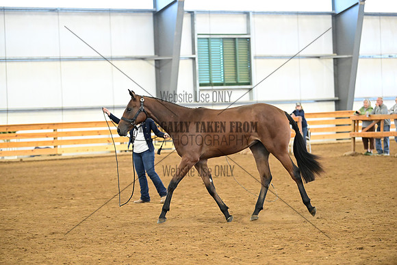 AJB_0366