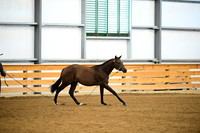 AJB_0319
