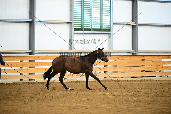 AJB_0319