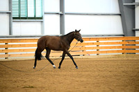 AJB_0316