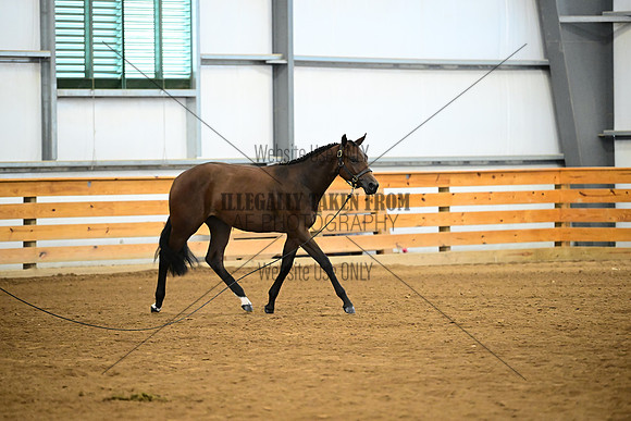 AJB_0316