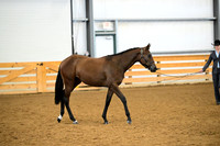 AJB_0320