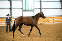 AJB_0321