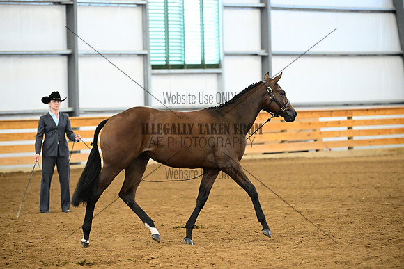 AJB_0321