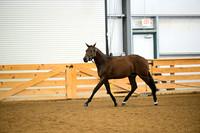 AJB_0322