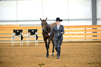 AJB_0247
