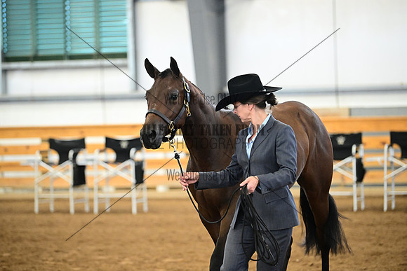AJB_0248