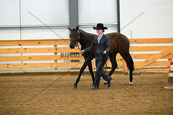 AJB_0246