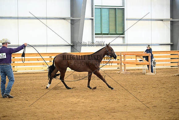 AJB_0334