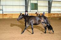 AJB_0170