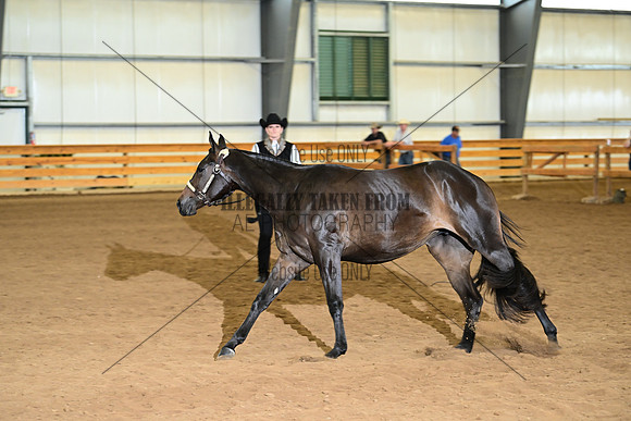 AJB_0170