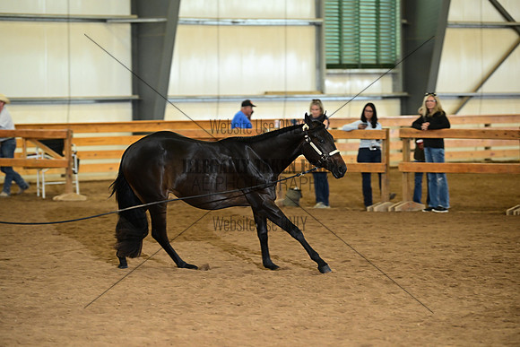 AJB_0171