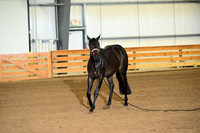 AJB_0176