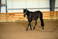 AJB_0178