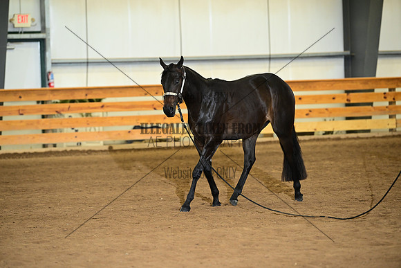 AJB_0178