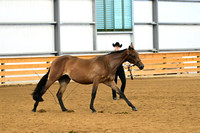 AJB_0293
