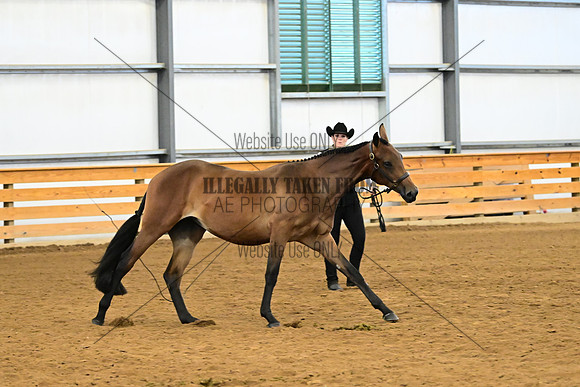 AJB_0293