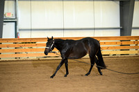 AJB_0180