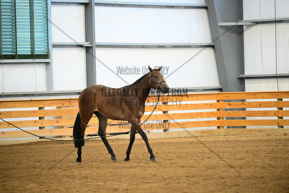 AJB_0294