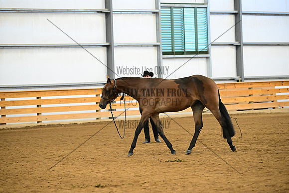 AJB_0295