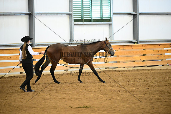 AJB_0298