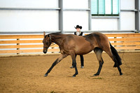 AJB_0299
